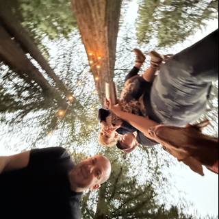 Twilight Laughter Among the Redwoods
