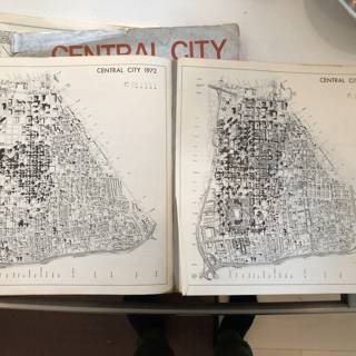 Two Maps of Chicago: City and Suburbs