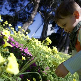 Youth in Bloom: A Spring Day at Golden Gate Park