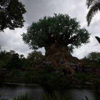 Majestic Moments at the Tree of Life
