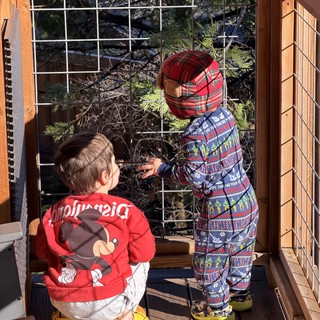 Two Toddlers Exploring a Snowy Yosemite Deck Together
