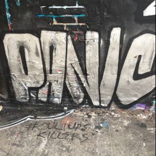 Panic Graffiti in Los Angeles