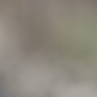 Misty Wetland Landscape at Dusk