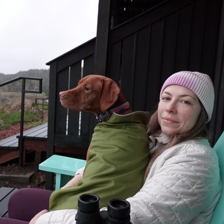 cabin or vacation rental