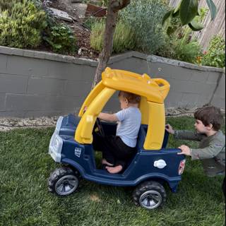 Backyard Adventures on a Summer Day