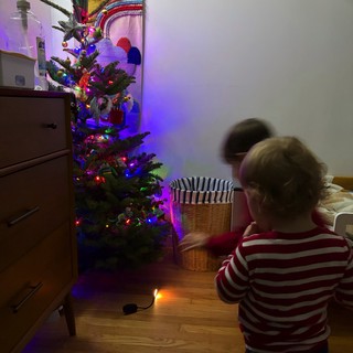 Children Mesmerized by Christmas Tree Lights at Night