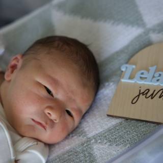 Welcome to the World, Leland