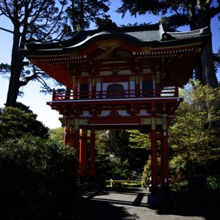 Serene Sanctuary at the Japanese Tea Garden
