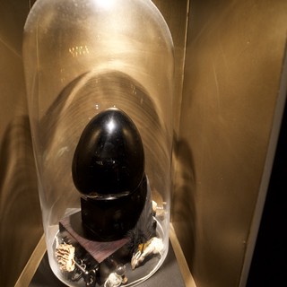 Polished Black Stone Egg in Glass Display Case