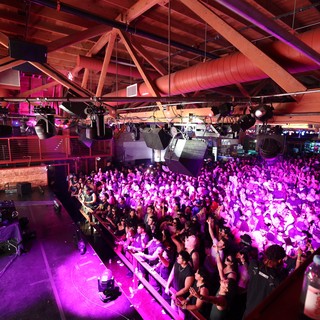 Packed Crowd Surges at Wobbleland 2026 Festival