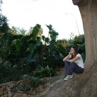 likely-a-botanical-garden-in-southern-california-or-the-mediterranean-region-possibly-balboa-park-san-diego-or-a-similar-subtropical-botanical-garden