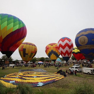 Colorful Hot Air Balloons Rise at Sonoma County Classic