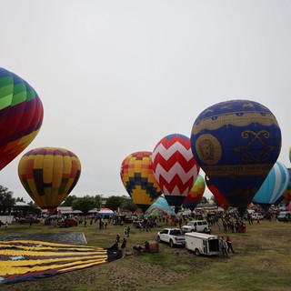 Colorful Hot Air Balloons Fill Sonoma County Skies