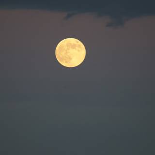 Lunar Luminescence: A November Night