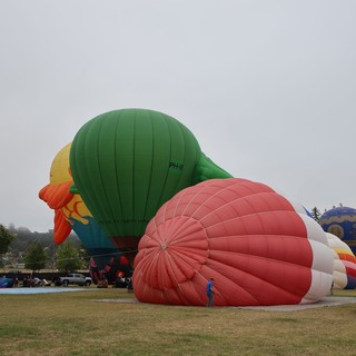 Giant Rooster Balloon Inflating at Sonoma County Classic