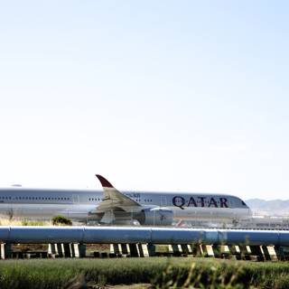 The Majestic Departure: Qatar Airways at Bayfront Park