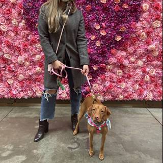 Flower Power Walk with My Pup