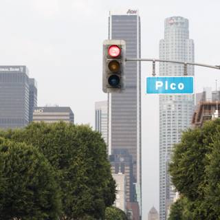 Picco Traffic Light in the Heart of the Metropolis
