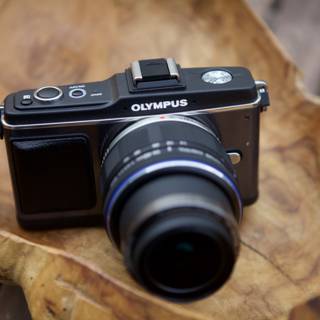 Sleek and Stylish Olympus Camera