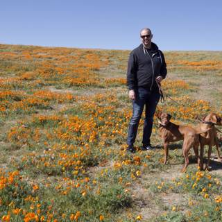 Man, Dogs, and Flowers in the Mojave