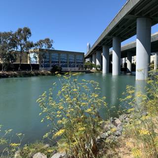 Under the overpass