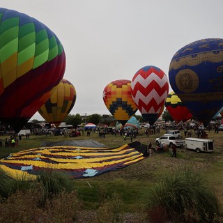 Colorful Hot Air Balloons Launch at Sonoma County Classic