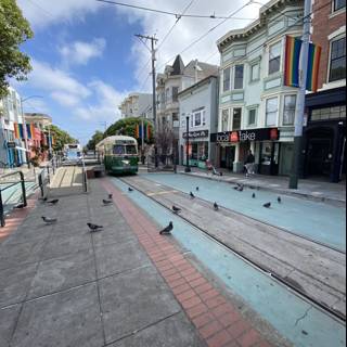 Tram and Pigeons on a City Street