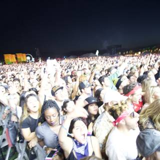 Coachella Crowd Goes Wild