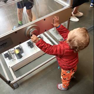 Little Explorer's Curiosity