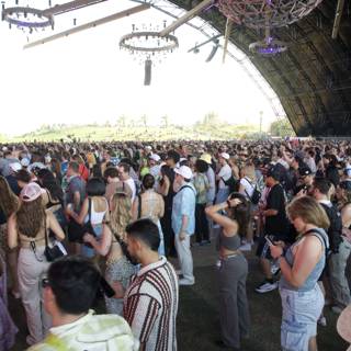 Pulse of the Crowd at Coachella 2024