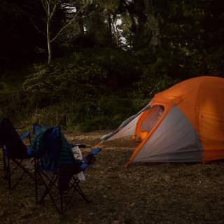 Starry Night at Presidio: Our First Outdoor Adventure, 2023