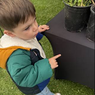Curious Exploration