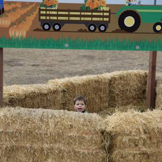 Harvest Playtime