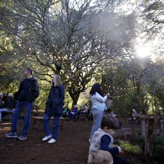 Autumn Walk at Thistlewyck - Filoli