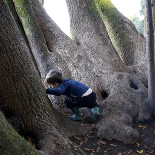 Nature's Playground