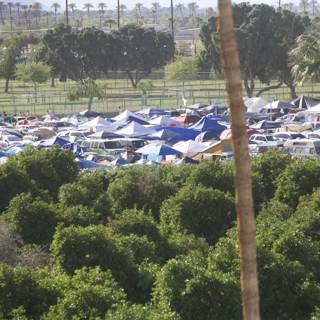 Summer Camping at Coachella