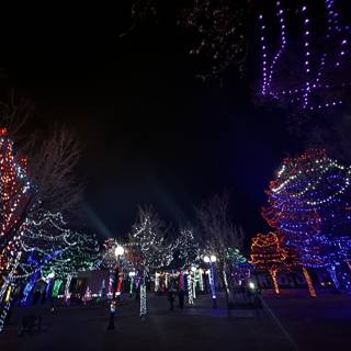 Glowing Winter Wonderland at Santa Fe Plaza