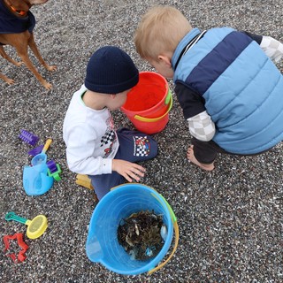 Young Boys Discovering Treasures in Beach Buckets