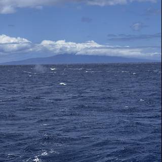 Majestic Hawaiian Horizon