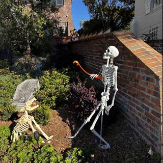 Skeleton and Dog on the Garden Path
