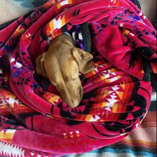 Snug as a Hound in a Quilt