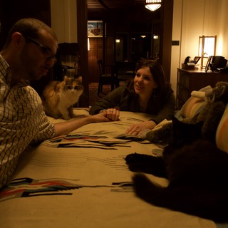 Cozy Evening with Cats on the Bed