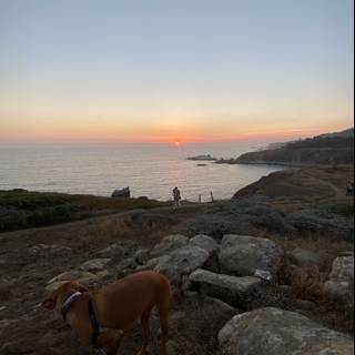 Rocky Sunset with Canine Companion