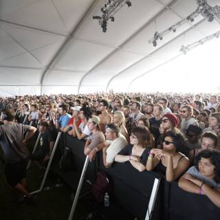 Coachella Music Festival: A Sea of Excitement