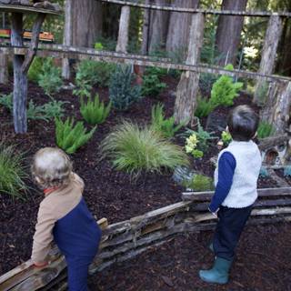Enchanted Explorers in Thistlewyck Grove