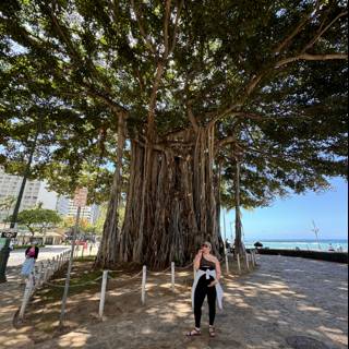 Beneath the Banyan: A Moment of Shade in Kuhio Beach Park