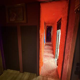 Enigmatic Corridor of Color