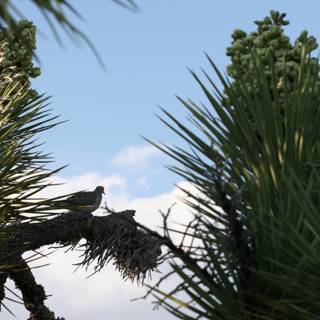 Serene Avian on a Palm Tree Branch
