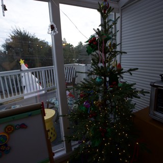 Christmas Tree in Enclosed Porch at Dusk