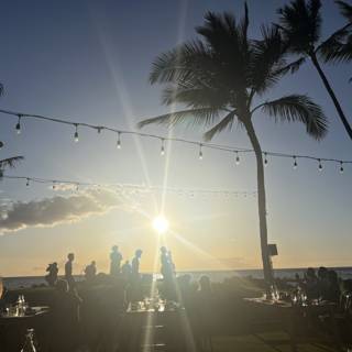 Sunset Dining Under Palm Trees